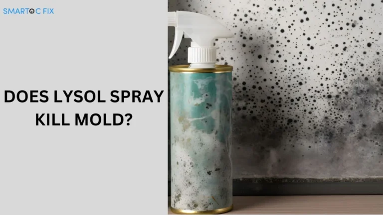 does lysol spray kill mold